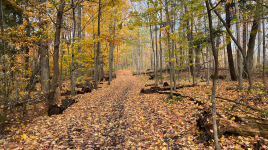 Mark S. Burnham Provincial Park