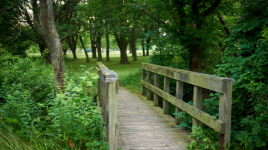 Rock Point Provincial Park