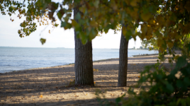 Turkey Point Provincial Park