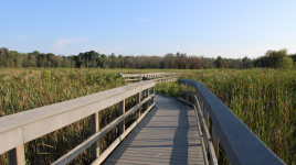 Presqu'ile Provincial Park