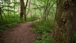 Port Burwell Provincial Park