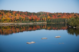 Algonquin - Shall Lake