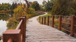 Earl Rowe Provincial Park