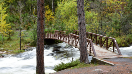 Rushing River Provincial Park