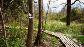 Komoka Provincial Park
