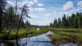 Halfway Lake Provincial Park