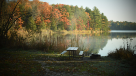 Sharbot Lake Provincial Park