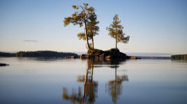 Murphys Point Provincial Park