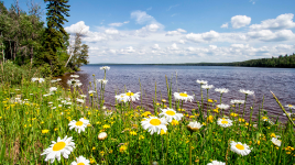 Nagagamisis Provincial Park