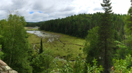 Algonquin - Hwy 60 Corridor