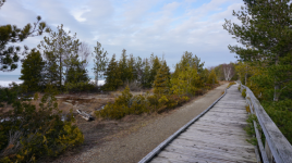 MacGregor Point Provincial Park