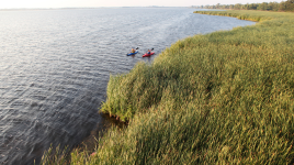 Rondeau Provincial Park