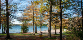 Bass Lake Provincial Park