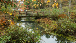 Frontenac Provincial Park