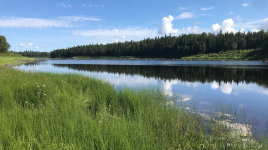 Missinaibi Provincial Park (River)