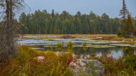 Caliper Lake Provincial Park
