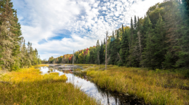 Mikisew Provincial Park