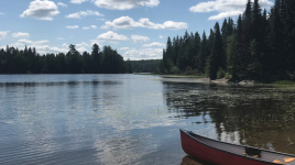 Algonquin - Whitefish Lake Campground